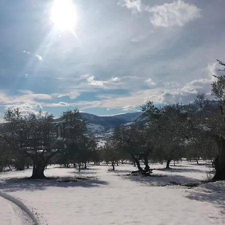 Al Casolare Guest house