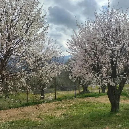 Guest house Al Casolare Ofena