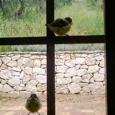 Al Casolare Guest house 3*