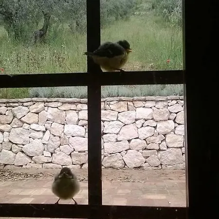 Guest house Al Casolare