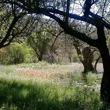 Al Casolare 3* Ofena