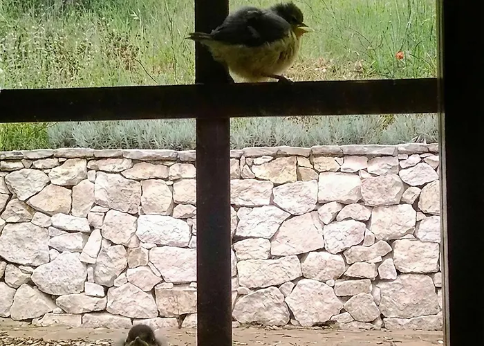 Al Casolare Affittacamere 3*